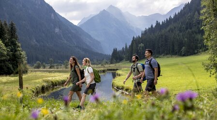 Wandern beim Tettermoor | © Steiermark Tourismus | Tom Lamm